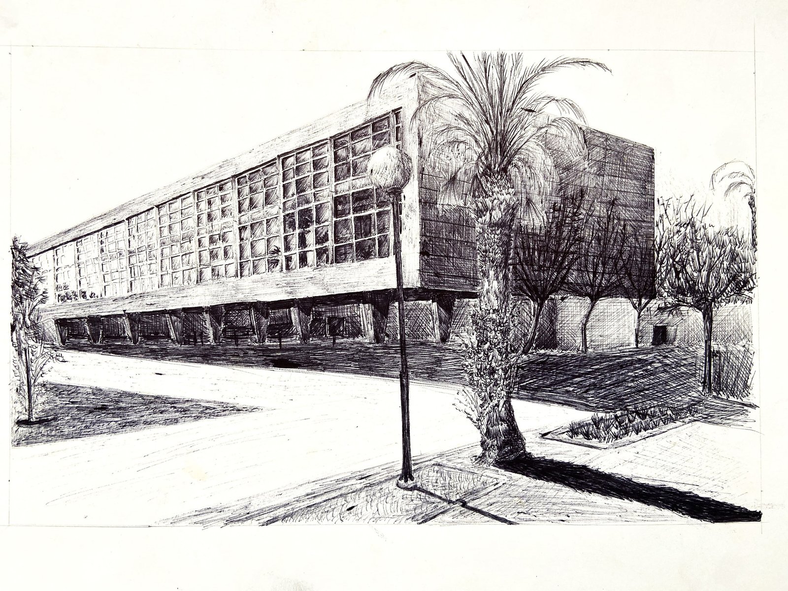 Dibujo a mano de un edificio con palmeras, hecho por Antonio José