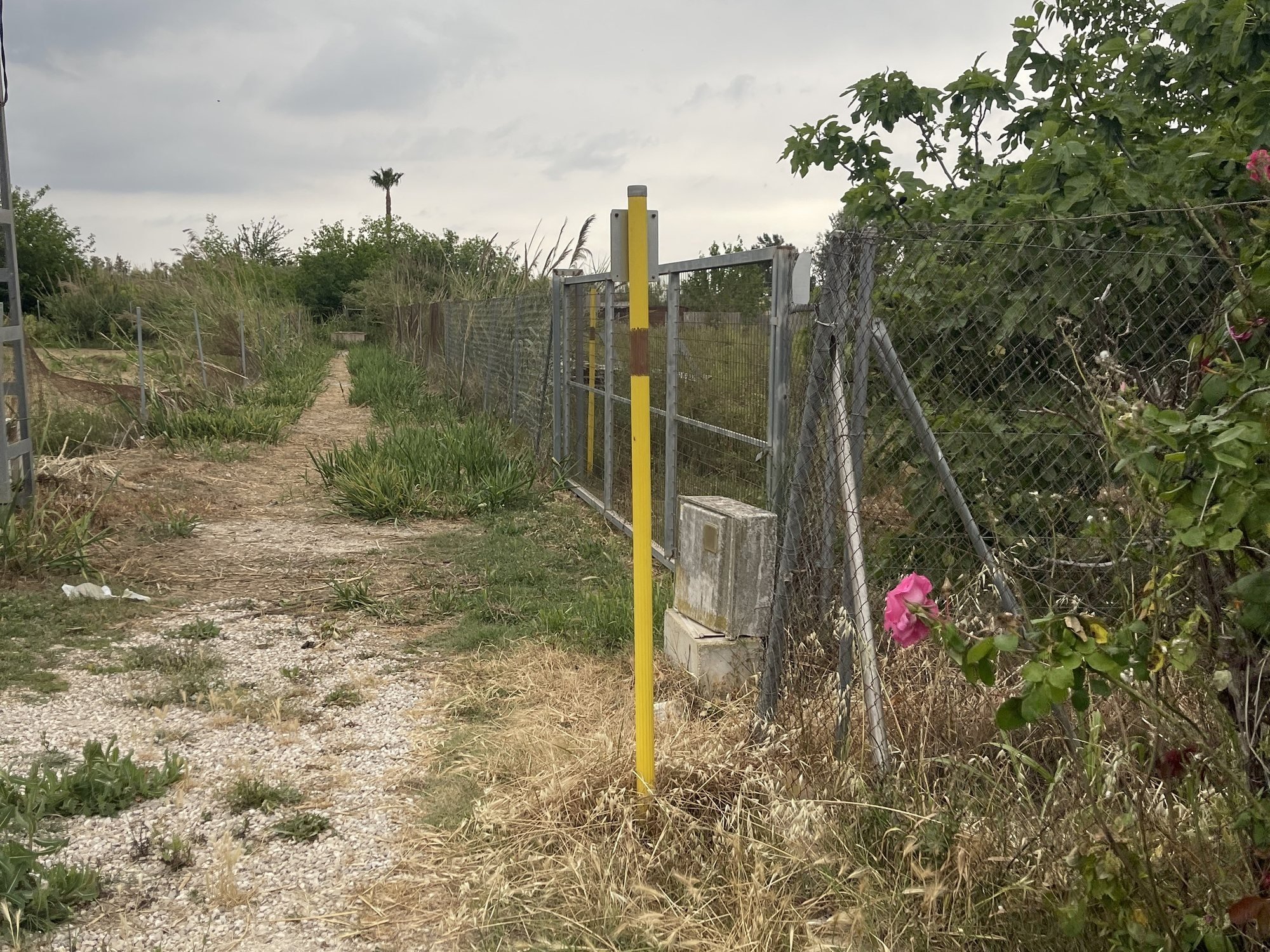 Camino de tierra junto al vallado de una parcela rústica