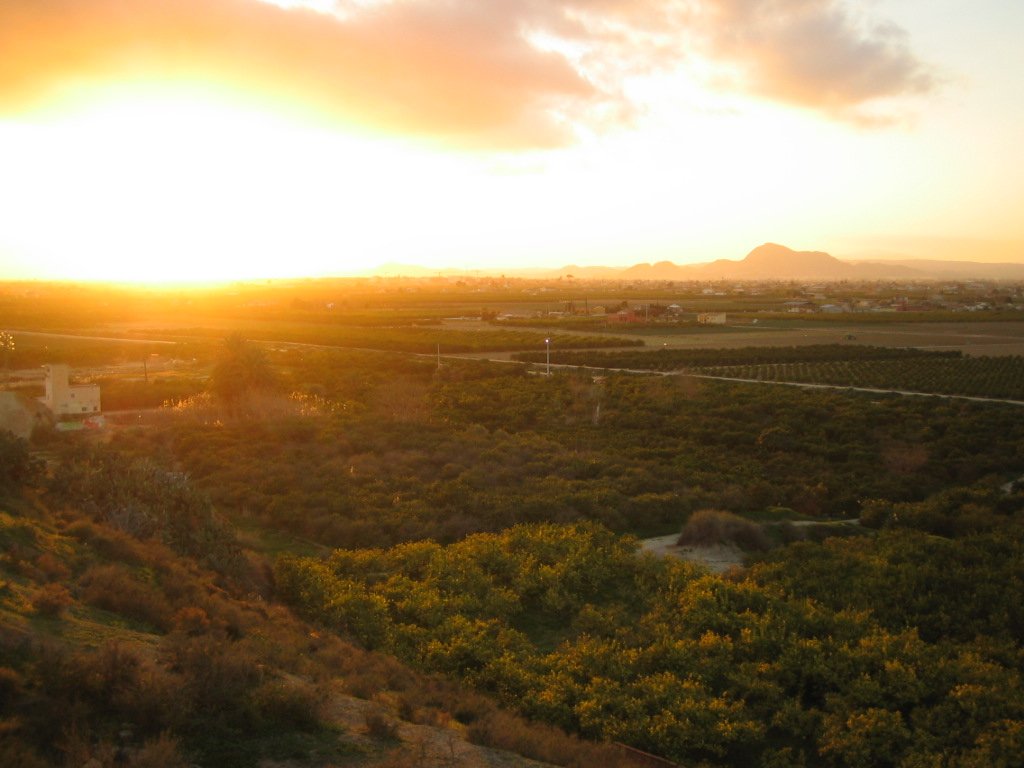 Atardecer sobre la huerta de Desamparados, en Orihuela