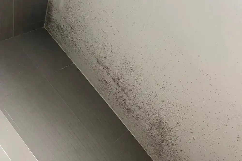 Moho en el techo de un baño