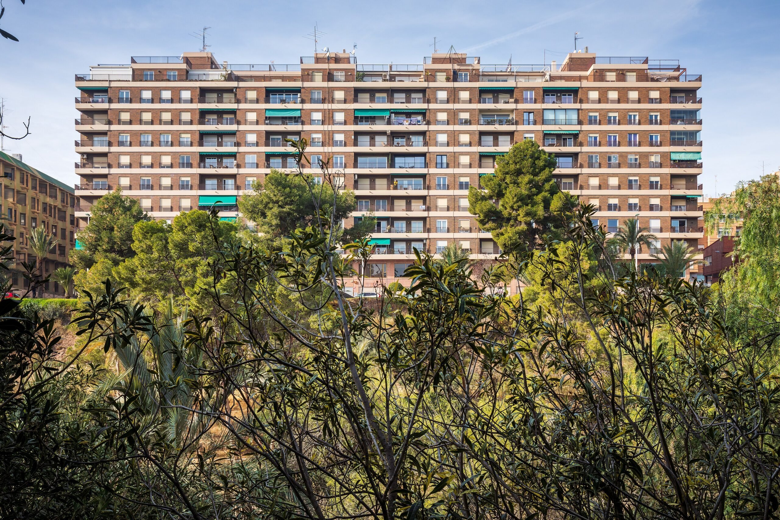 Edificio de viviendas del Pont Nou de Elche visto desde el Parque Municipal